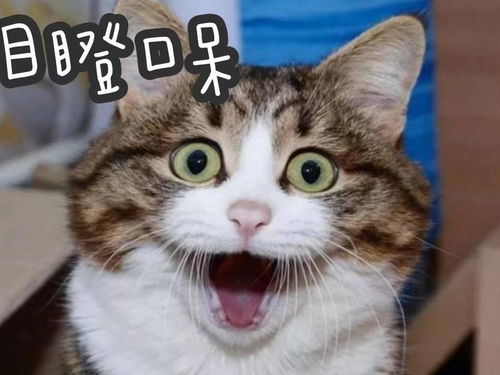  清华北大为了抢人有多猛凌晨3点打电话,开车100公里接高分考生