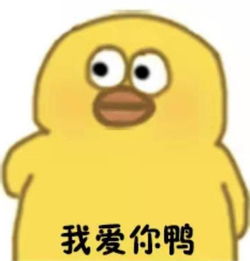  tuasduchien就是你有狗吗