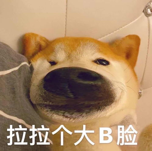  教男朋友识别绿茶更新表情包
