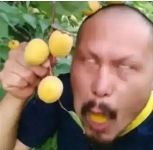  笑死人不偿命桃子有多甜看我表情就知道
