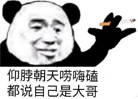  熊猫头社会语录表情包