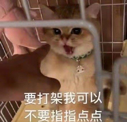 孙怡直接发文我单方面宣布工作室账号关闭,看到配图后,感觉她也太可爱了