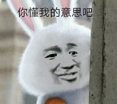  张继科景甜疑恋爱深夜撒狗粮,好友尹正微博泄露实情