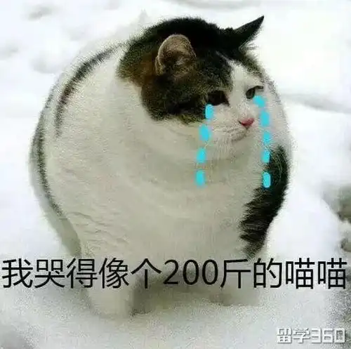  听说你拿到了10000澳元奖学金住宿费还减半