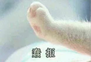  我这一爪下去,你可能会...被萌到