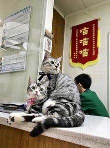  为了不坑队友小学生手写王者荣耀攻略...用心良苦感动中国