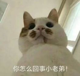  高中和老师之间的奇葩事网友高中自习课,那深情的对视