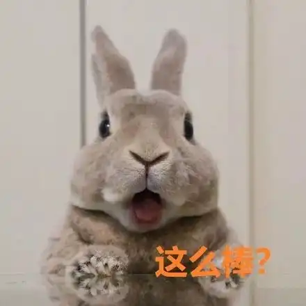 兔子吞脑袋表情包一套杀