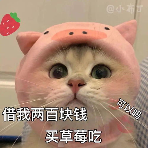  抖音表情包i老子给你埋了