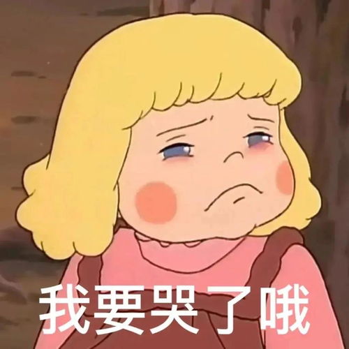  沙拉公主表情包好了可以了再说就反了