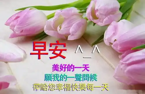  挫折时,从容乐观地面对失意时,淡然优雅地转身,早安