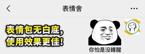  表情生气也不敢胡闹,怕自己不够重要熊猫头表情