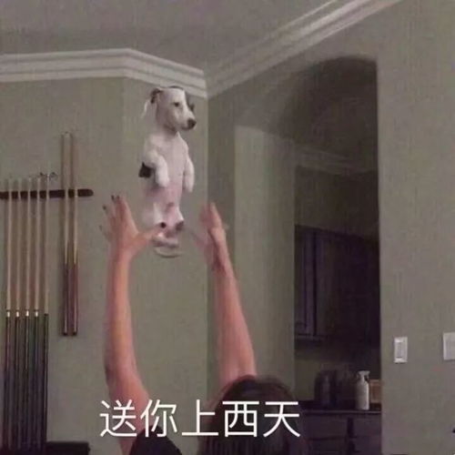  你不知道的娱乐圈趣事