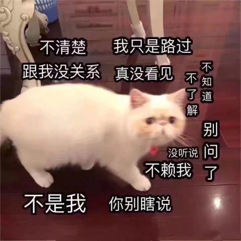  喂你好,你的沙雕表情包请签收