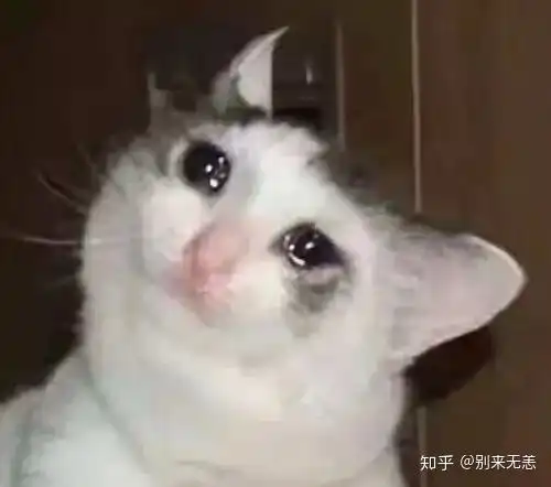  在宿舍尿床是种怎样的体验