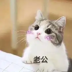  求这个猫表情包的原图