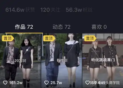  企业新媒体运营完全手册抖音微信微博b站小红书玩法详解