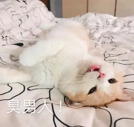 可爱想表情包翻到