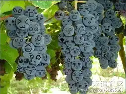 那些年我们一起犯的二....l.l戳戳戳
