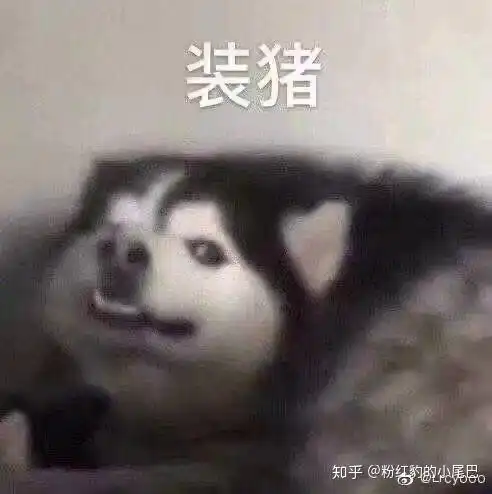  苹果11紫色有啥适合的手机壳