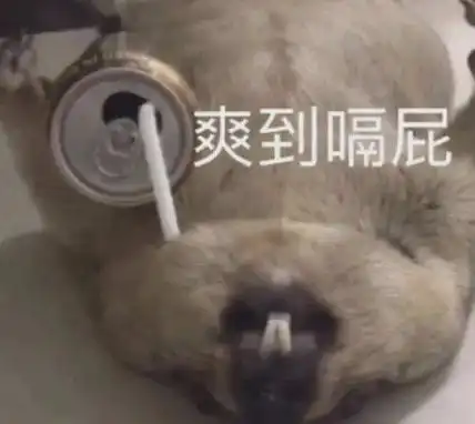  米娜被指责着装暴露擦边球,回应乌龙热搜坦白害怕又好笑