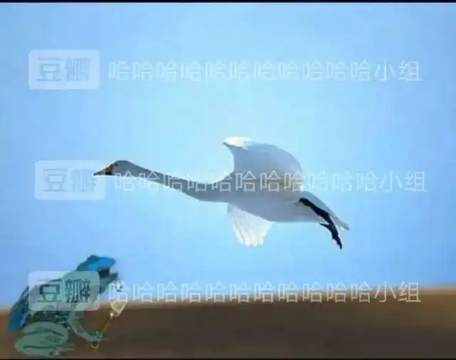  女子相亲带23个亲戚吃掉近2万元,看到账单男方溜了网友男方没报警说遇到饭托就不错了
