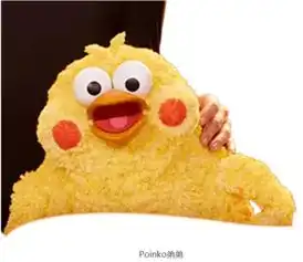  poinko鹦鹉兄弟在中国突然火了是怎么回事