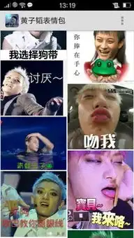 黄子韬表情包下载2016安卓最新版黄子韬表情包手机官方版免费安装下载豌豆荚