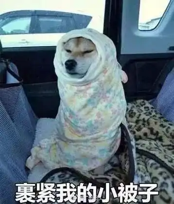  3,大武冈连下一周雪接下来的日子,武冈人挺住......