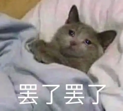  表情包遇到困难睡大觉