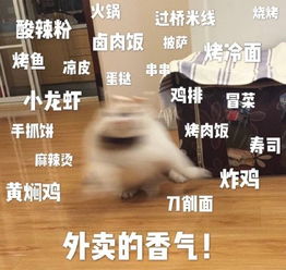  因为在墙角所以有回音的,小声bbbbbbbbbbbbbbbbbbbb回音墙角小声所以表情