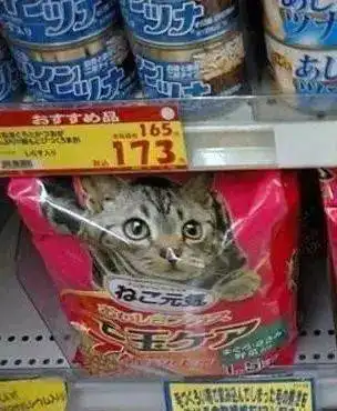 到超市买猫粮,看到两袋猫粮包装一样,但表情却不一样  到超市买猫粮,看到两袋猫粮包装一样,但表情却不一样