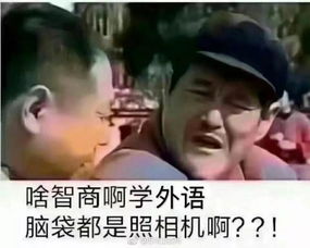  大学的专业有什么特殊表情包农学我种地回来了