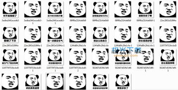  熊猫头我错了错你大爷滚表情包下载熊猫头嘴里骂人表情包高清无水印极光下载站