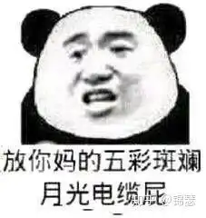 减肥减个屁表情包凝视