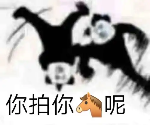  你有莫有什么关于拍一拍的表情包