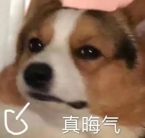  为情自杀成一出闹剧只打小三不骂渣男的姑娘清醒一点吧