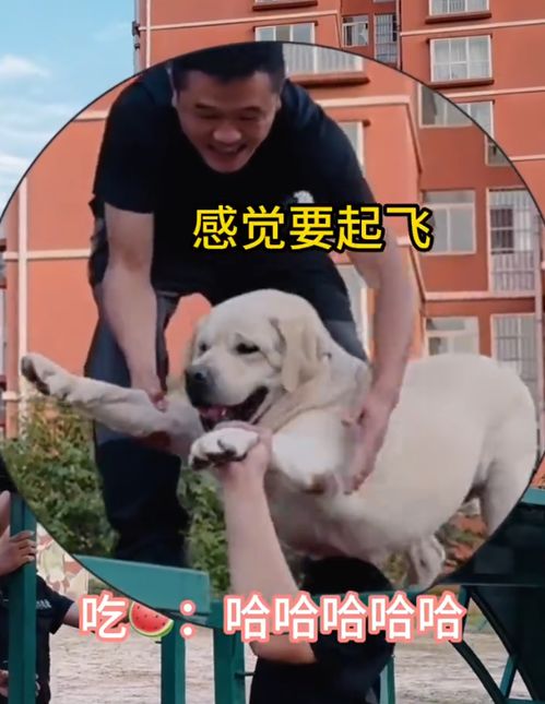  轻松一刻看懂的人都老了,你知道这都是谁吗