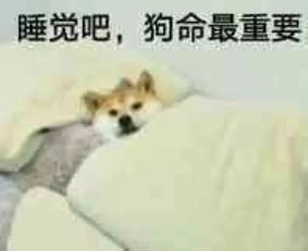 对不起鸭的表情包狗命