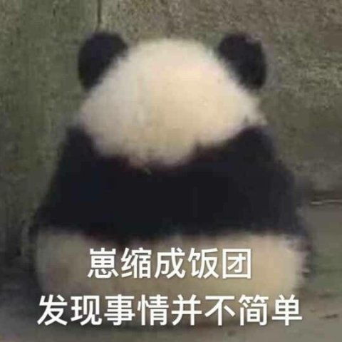  大b神脱口秀马云叫我接班,不过我怕钱太多了自己不快乐拒绝了