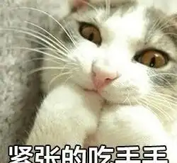  猫咪表情紧张的吃手手