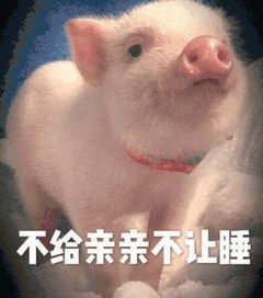  中小学生猪年春节生存指南