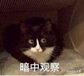  新闻哥90后小伙自费百万整成马云脸,感觉他在下一盘大棋啊