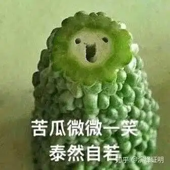 讨厌你表情包苦味