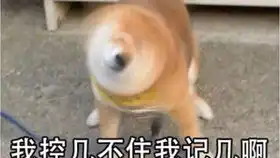  邓晓芒讲黑格尔哲学