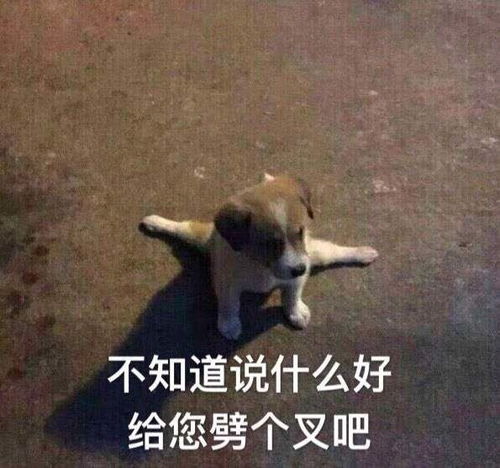 家里有个极品的坏老人是什么感觉
