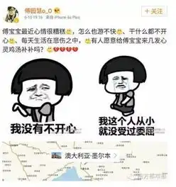 表情包分类泳坛