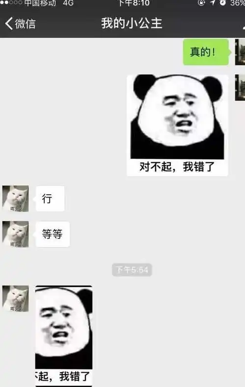  聊天记录曝光和智商太高的女生谈恋爱,是一种怎样的体验
