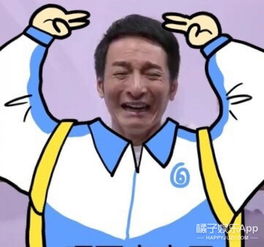  快本征集表情包,wuli韬韬张一山井柏然被快玩坏了