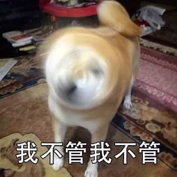  广州拍照圣地合集,带上孩子拍组亲子照去吧